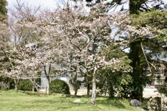 20070328朝倉市17