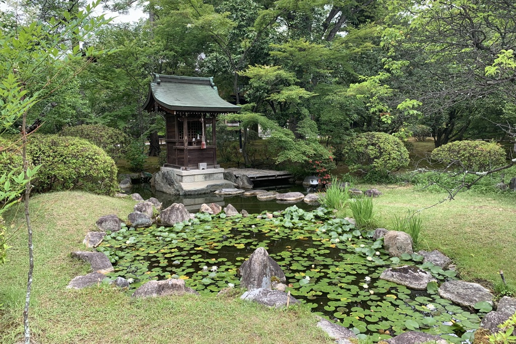 20190609右京区01