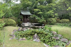 20190609右京区01