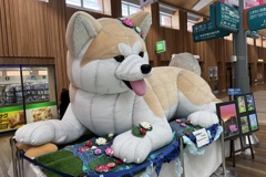 20250827秋田市02