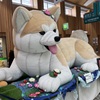 20250827秋田市02