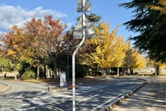 20241204松山市c05