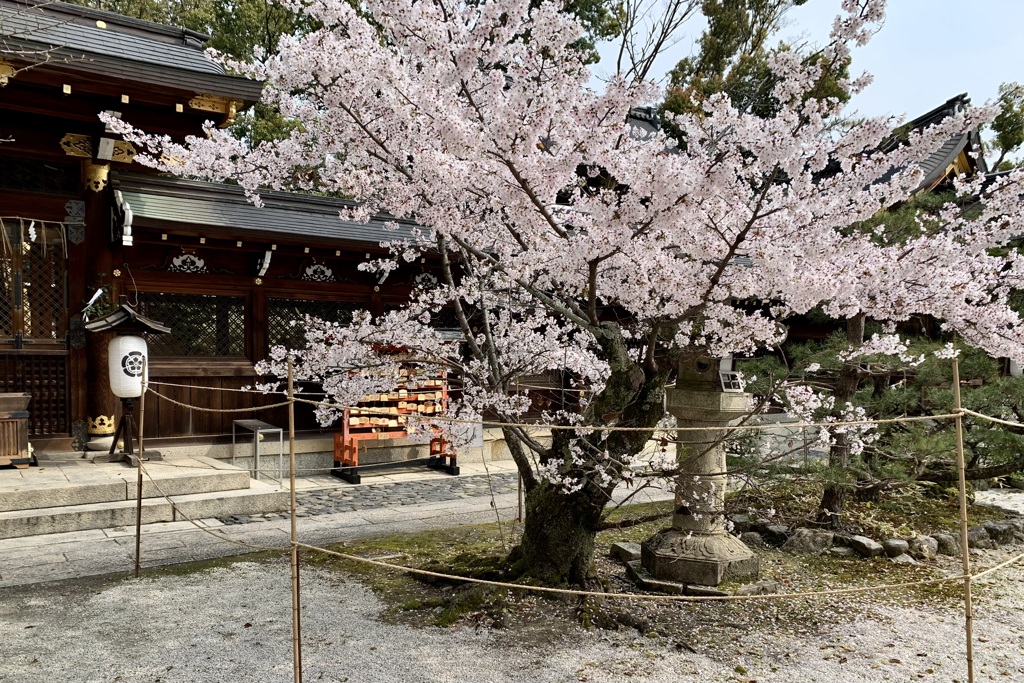 20200403京都市北区08
