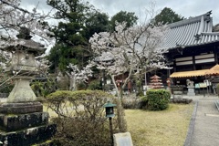 20240404木津川市09