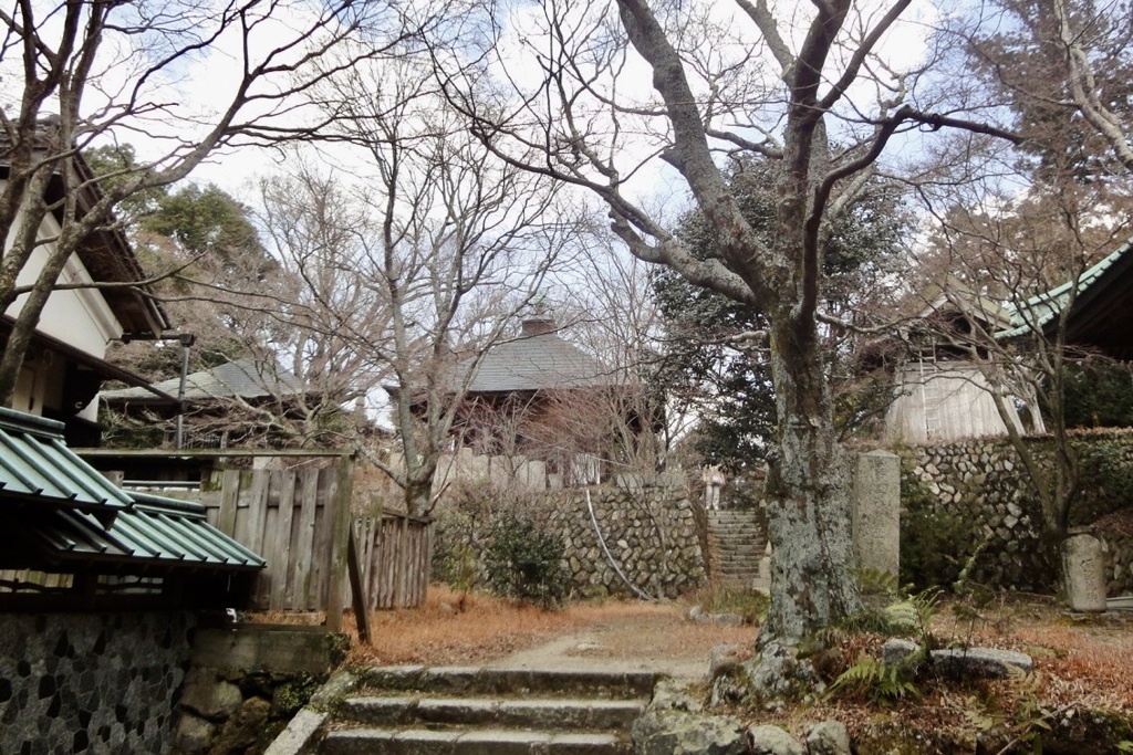20110313和泉市18