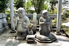 20230502保土ヶ谷区02