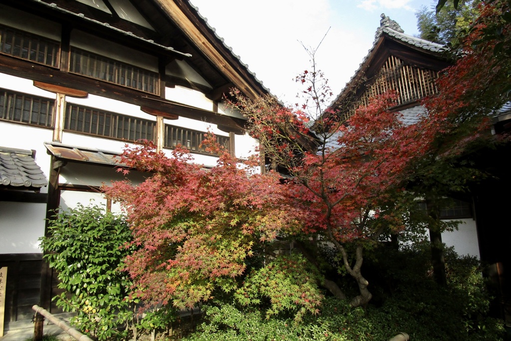 20181130東山区18