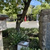 20250916豊岡市02