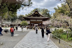 20250404京都市北区29