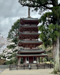 20240404木津川市13
