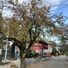 20201111千葉市中央区01