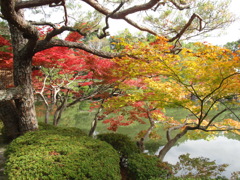 20181124左京区23