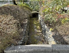 20240307右京区23