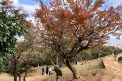 20191119西京区09