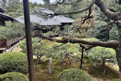 20240402山科区17
