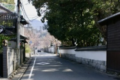 20070328朝倉市09