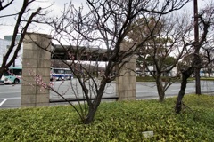20190307防府市02