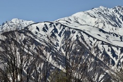 20250508白馬村18