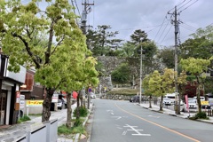 20190425松坂市01