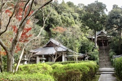 20181214東山区04