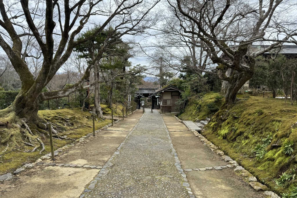 20240208右京区12