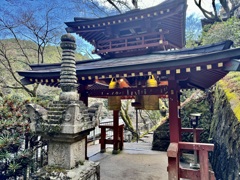 20240104右京区07
