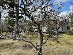 20240309東山区10