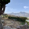 20210212善通寺市02