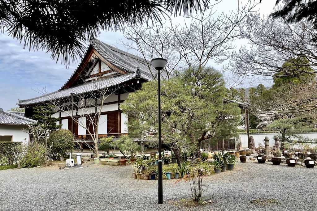 20230325左京区27