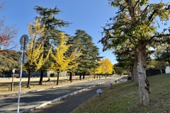 20241204松山市c04