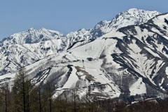 20250508白馬村13