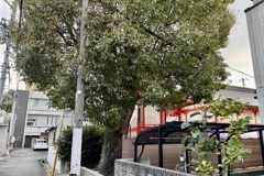 20241203松山市b22