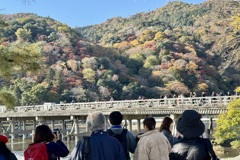 20241129右京区03