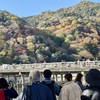 20241129右京区03