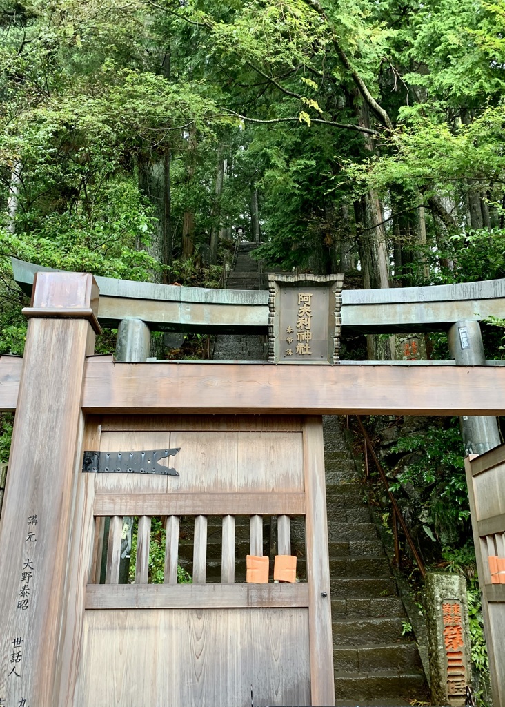 20191018伊勢原市04