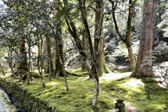 20210419小松市01