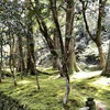 20210419小松市01