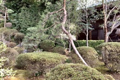 20210316埼玉県吉見町03