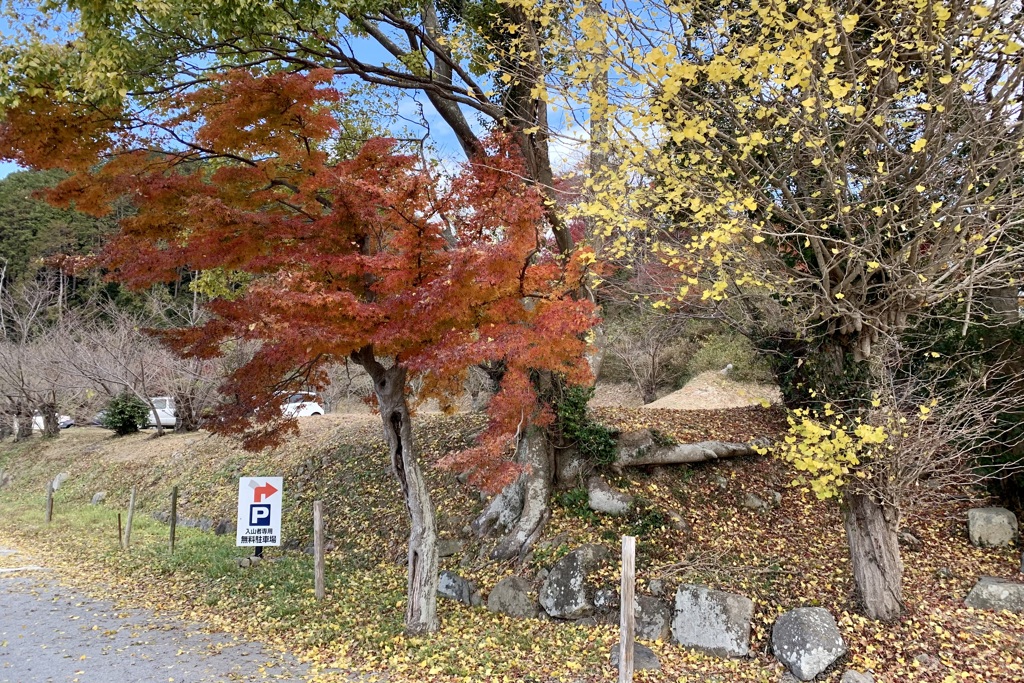 20191212近江八幡市04