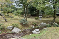 20241023左京区10