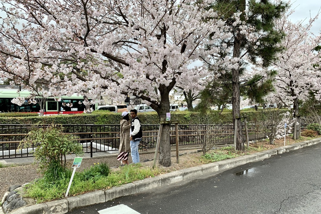 20200401中京区02