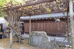 20181205東山区02