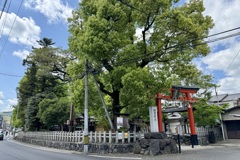 20240425西京区14