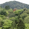 20160418東山区03