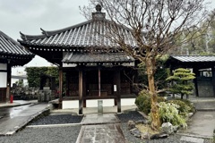 20240323伏見区02