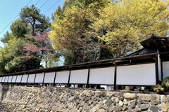 20210421高山市08