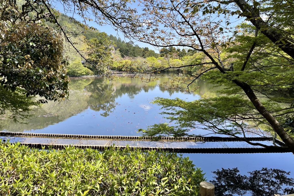 20230409右京区03