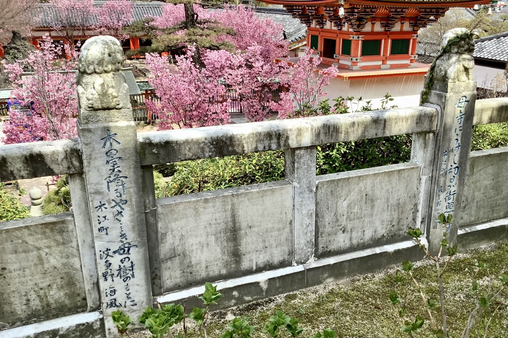 20220330尾道市12