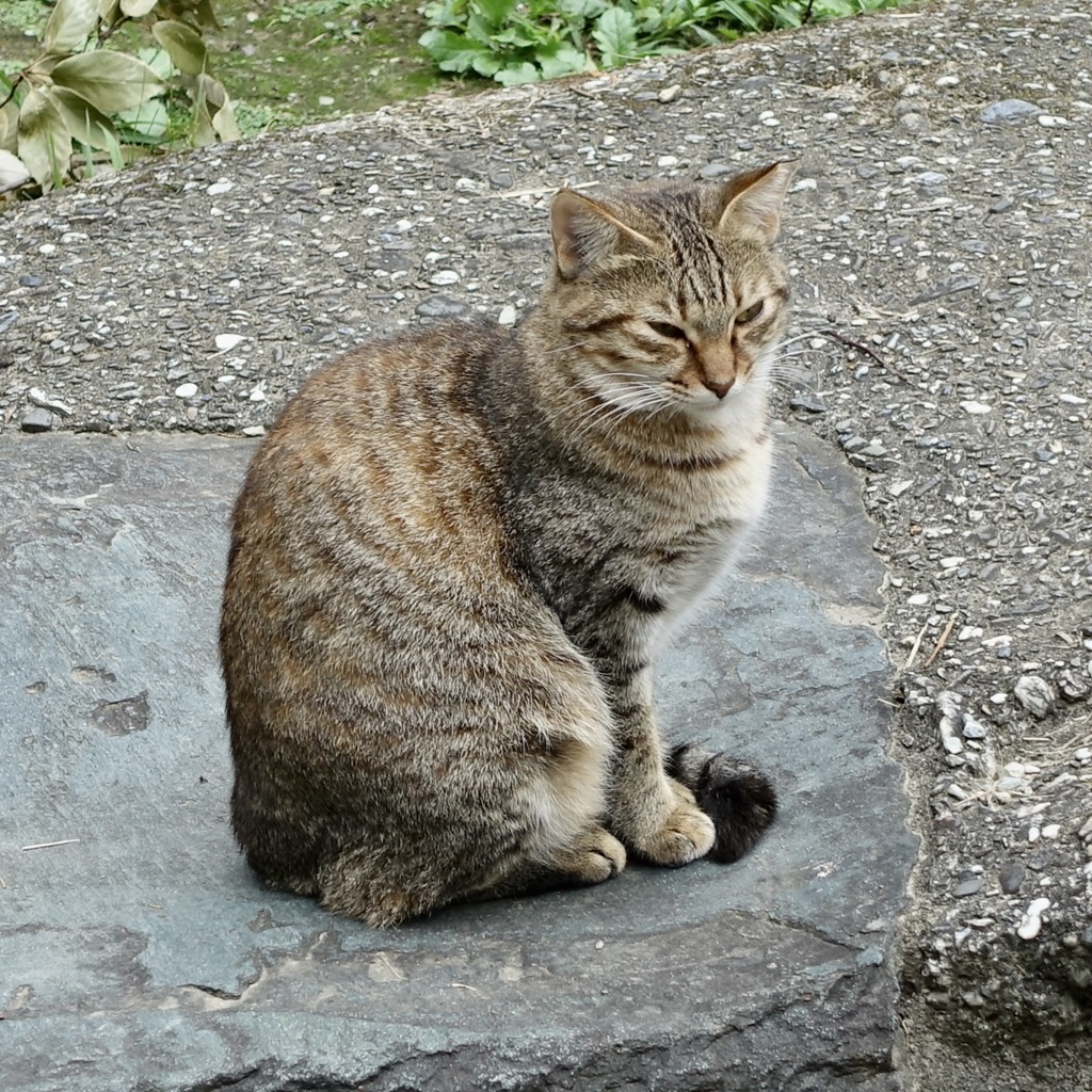20170924徳島市05