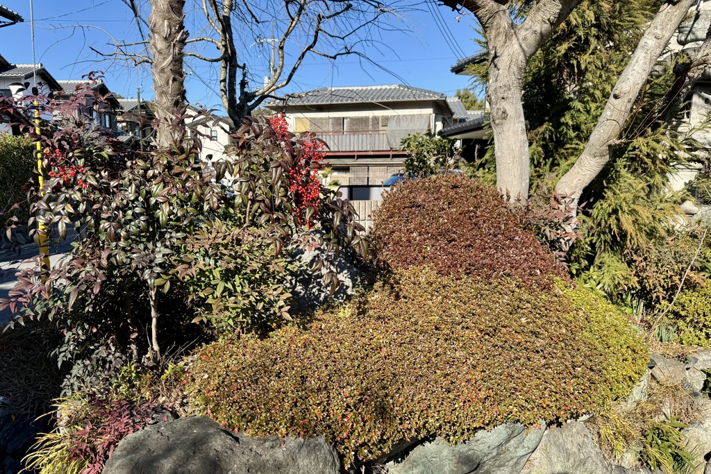 20240111右京区02